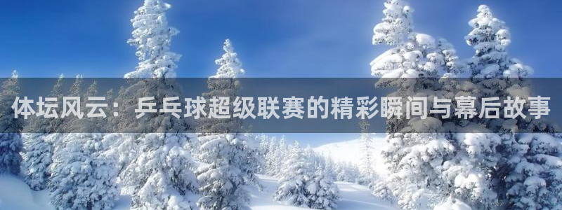 360体育网足球直播：体坛风云：乒乓球超级联赛的精彩瞬间与幕后故事