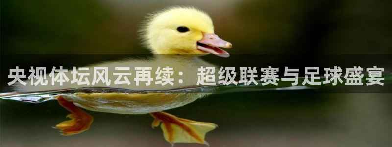 360体育直播高清：央视体坛风云再续：超级联赛与足球盛宴