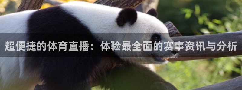 360体育直播在线观看免费：超便捷的体育直播：体验最全面的赛事资讯与分析
