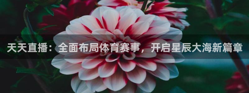 360雨燕直播吧：天天直播：全面布局体育赛事，开启星辰大海新篇章