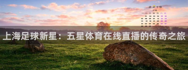 360体育直播nba直播：上海足球新星：五星体育在线直播的传奇之旅
