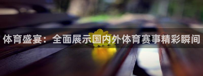 足球直播360直播频道：体育盛宴：全面展示国内外体育赛事精彩瞬间