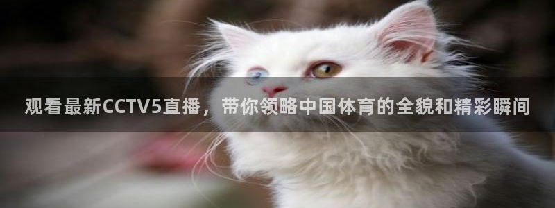 360无插件直播体育赛事直播：观看最新CCTV5直播，带你领略中国体育的全貌和精彩瞬间