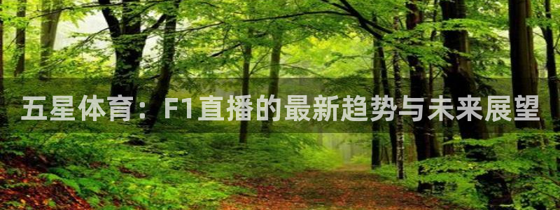 雨燕360体育免费直播 足球：五星体育：F1直播的最新趋势与未来展望