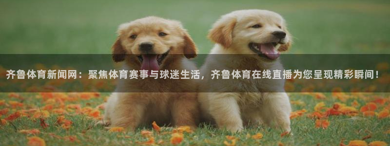 雨燕360体育免费直播高清视频大全山：齐鲁体育新闻网：聚焦体育赛事与球迷生活，齐鲁体育在线直播为您呈现精彩瞬间！