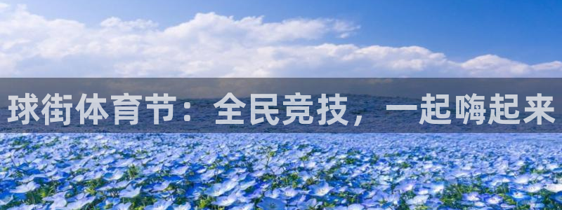 雨燕360体育直播nba免费入口：球街体育节：全民竞技，一起嗨起来
