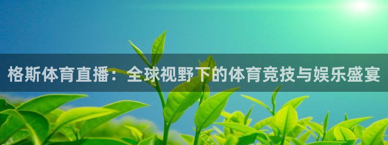 360体育直播免费：格斯体育直播：全球视野下的体育竞技与娱乐盛宴